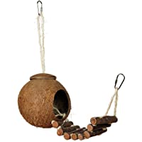Sairis Cómodo diseño Lindo Concha de Coco Natural Casa de anidación de Aves Periquitos para Mascotas de tamaño pequeño…